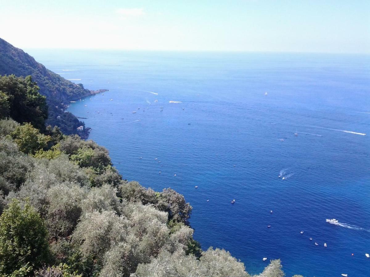 Casa Constanza Pace E Relax In Liguria Apartment Камогли Екстериор снимка